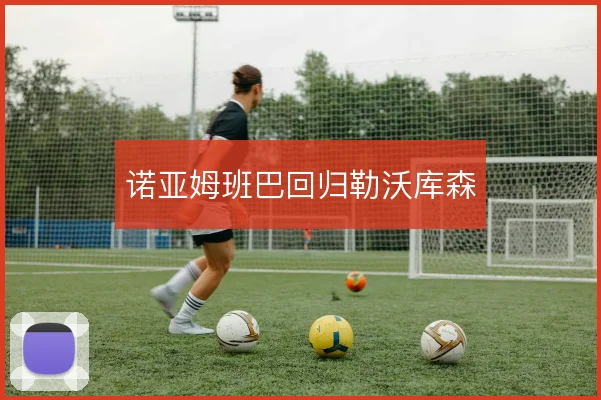 诺亚姆班巴回归勒沃库森