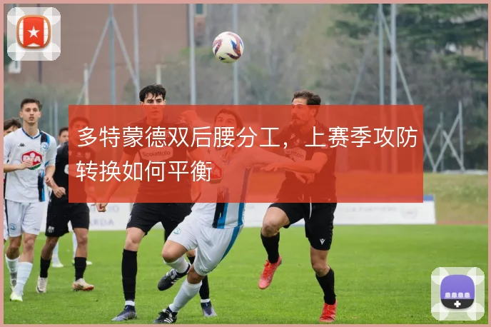 多特蒙德双后腰分工，上赛季攻防转换如何平衡