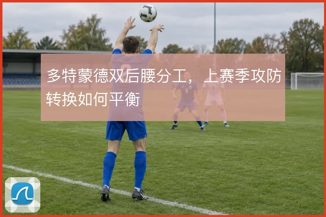 多特蒙德双后腰分工，上赛季攻防转换如何平衡